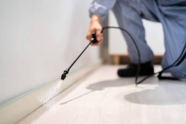 Licensed Termite Control service in Burlington, WI - Nex Pest Control