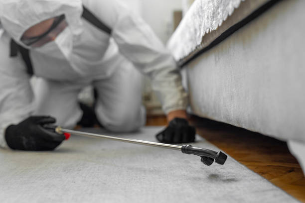 Professional Termite Control technician working in Burlington, WI
