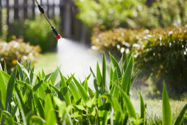 24/7 Emergency Termite Control experts in Burlington, WI