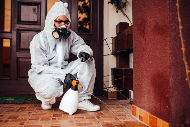Reliable Termite Control contractor in Burlington, WI by Nex Pest Control