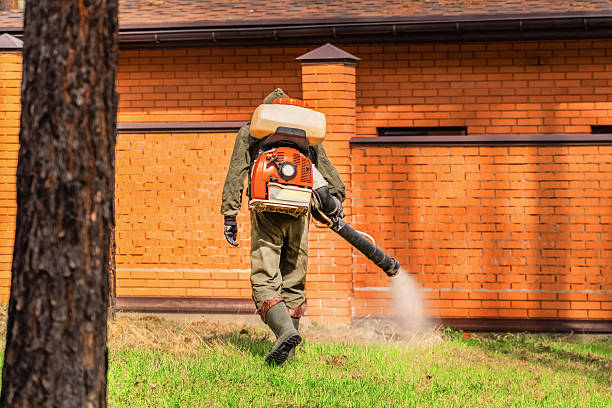 Top rated local Termite Control specialists in Burlington, WI